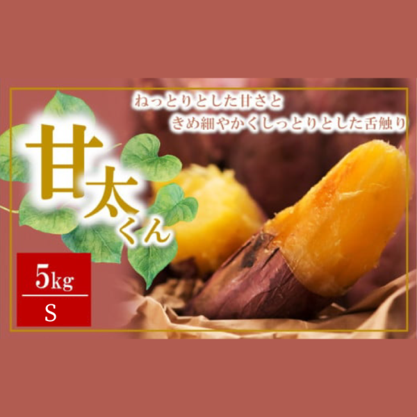 大分県産かんしょ 甘太くん 5kg Sさつまいも さつま芋 サツマイモ 紅はるか べにはるか 焼き芋